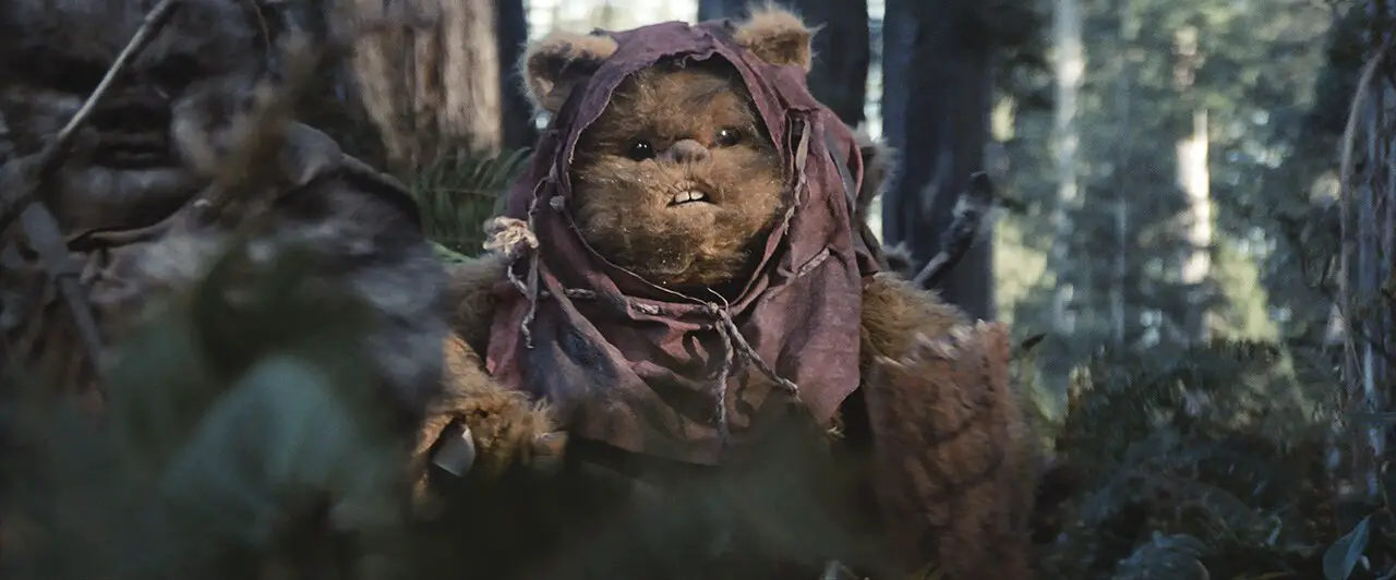 Ewoks