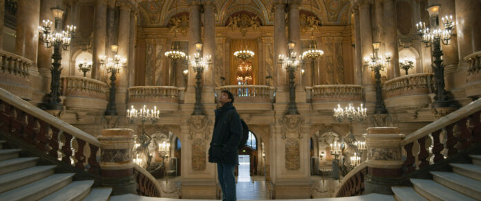 um lobo entre cisnes