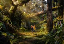 Crítica | O Bosque Selvagem – Uma declaração de amor ao cinema artesanal